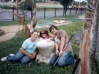 photos 2000-200901456